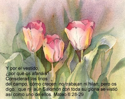 No te afanes